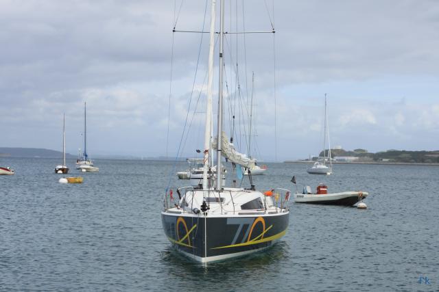 Django 770 - Photo 8