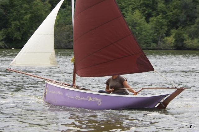 Gazelle des sables - Photo 4