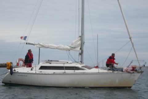 Sun Dream 28 - Photo 3