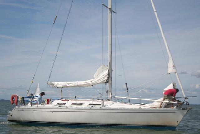 Sun Shine - Photo 10